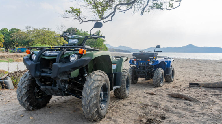 Atv And Buggy
