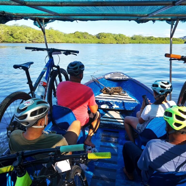 Bike Tour Estuary 2