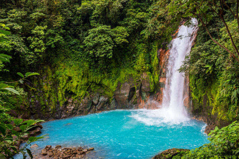 rio-celeste-sloth