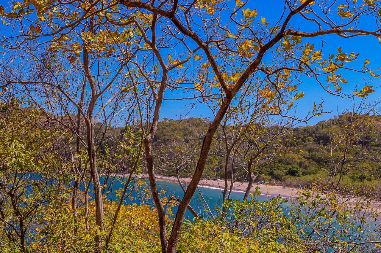 Forested Pacific cove with turquoise water viewed through tropical trees