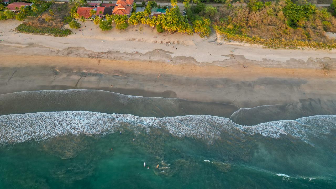 Top-down aerial view of waves along a wide sandy beach lined with palm trees