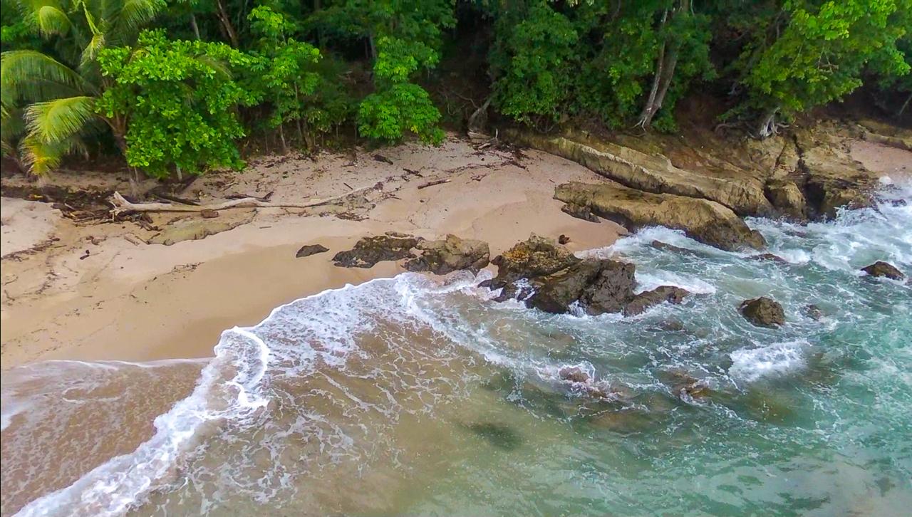 Aerial view of waves reaching a rocky, tree-lined sandy beach